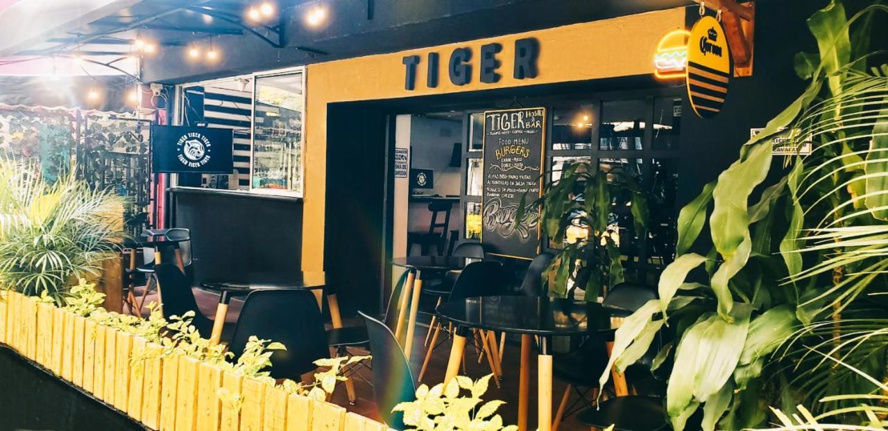 Tiger Hostel Меделин Екстериор снимка