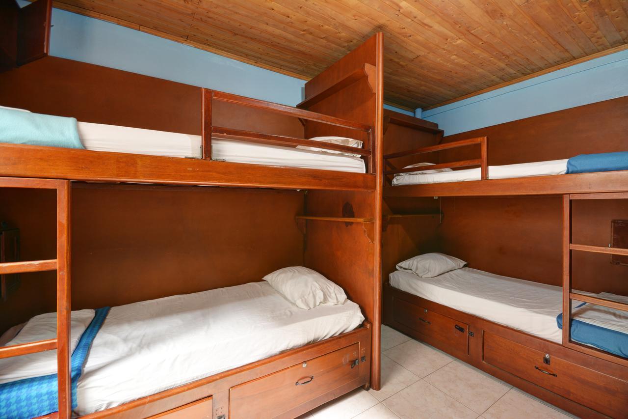 Tiger Hostel Меделин Екстериор снимка